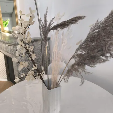 Appartement Lerelaisdodile1 - Luxe - Ideal Couple & Pro - Hyper Centre - - Tramway - Parkingpossible - Entree Autonome Valenciennes