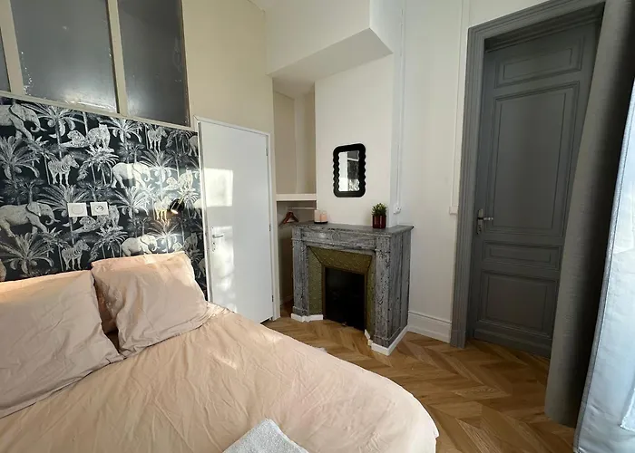 Lerelaisdodile1 - Luxe - Idéal Couple&pro - Hyper Centre - - Tramway - Parkingpossible - Entrée Autonome *