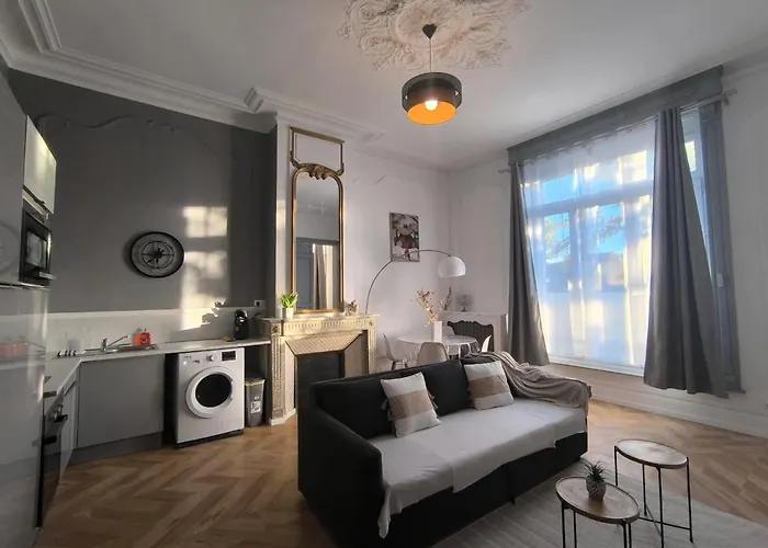 Lerelaisdodile1 - Luxe - Idéal Couple&pro - Hyper Centre - - Tramway - Parkingpossible - Entrée Autonome Appartement *