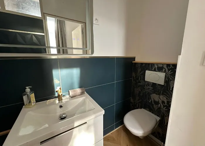 Lerelaisdodile1 - Luxe - Idéal Couple&pro - Hyper Centre - - Tramway - Parkingpossible - Entrée Autonome Appartement Valenciennes