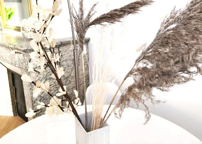 Appartement Lerelaisdodile1 - Luxe - Idéal Couple&pro - Hyper Centre - - Tramway - Parkingpossible - Entrée Autonome Valenciennes